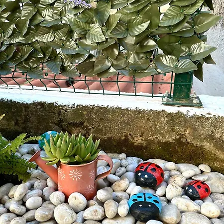 Apartman Heliva *