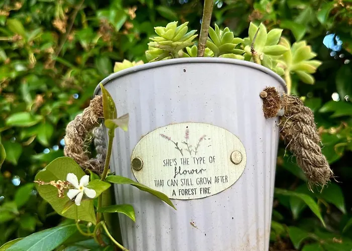 Διαμέρισμα Heliva