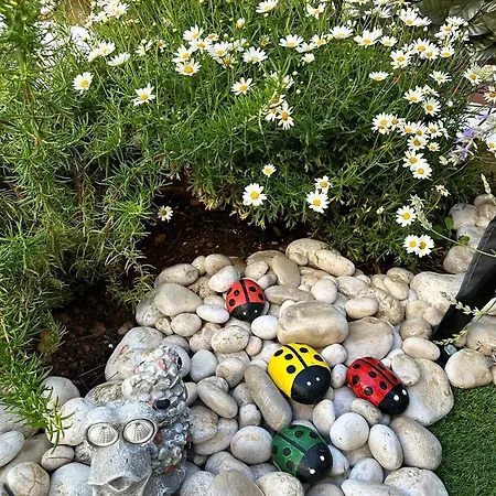 Διαμέρισμα Heliva *